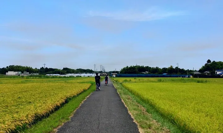 Rural Japan cycling tour to the rich nature area in Ichinomiya