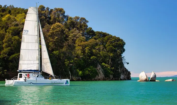 Sail, Seals, and Walk Tour in Abel Tasman