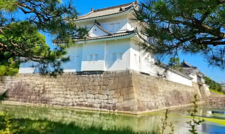 Kyoto Imperial Palace & Nijo Castle Guided Walking Tour - 3 Hours