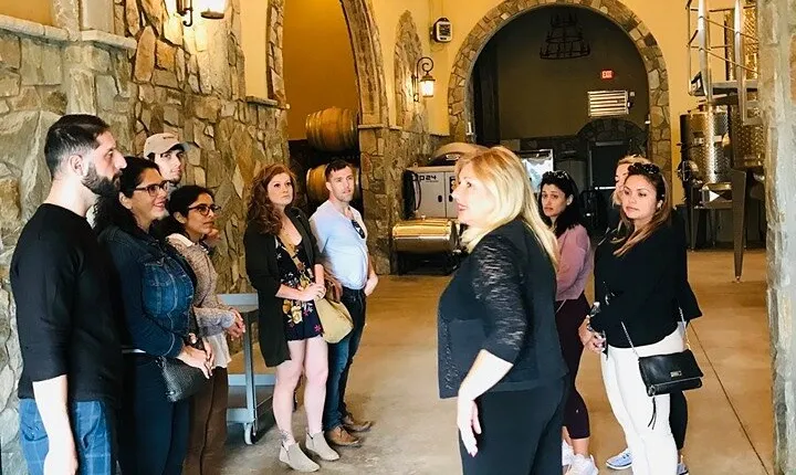 Virginia Wineries Guided Tour & Tastings from Washington DC
