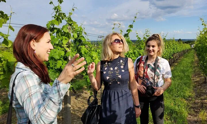 Day trip from Bratislava: Winery Tour with Wine Tasting in the Countryside