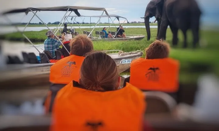 chobe 3hr sunset boat cruise