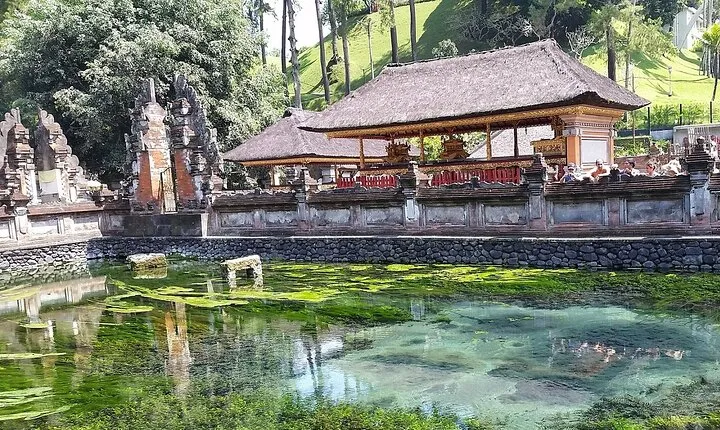 Highlight Ubud Temple, Rice Terrace including Waterfall
