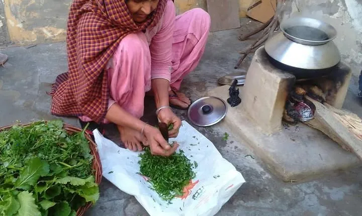 Indian Village Cultural Full Day Private Tour
