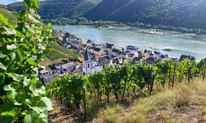 Rhine Valley Wine Tasting Tour from Frankfurt and Mainz