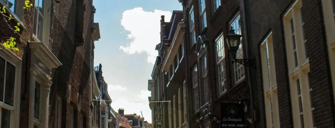 Enter The Hague 2-hour walking tour