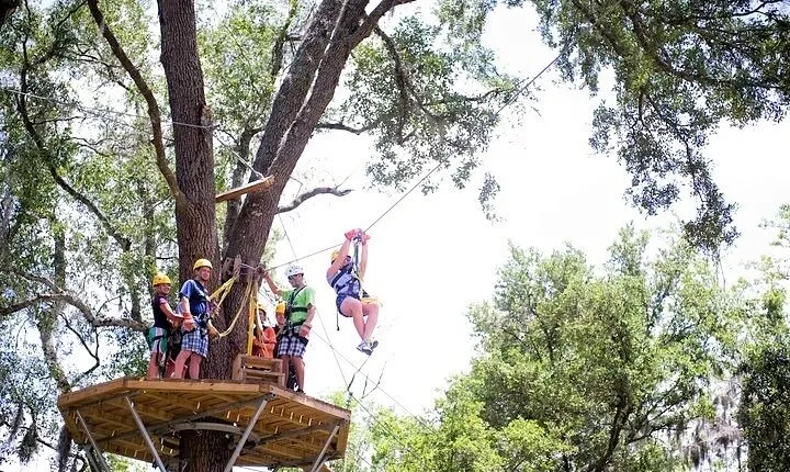 Treetop Express Zip Line Tour with 5 Zip Line Flights & 2 Sky Bridges Included