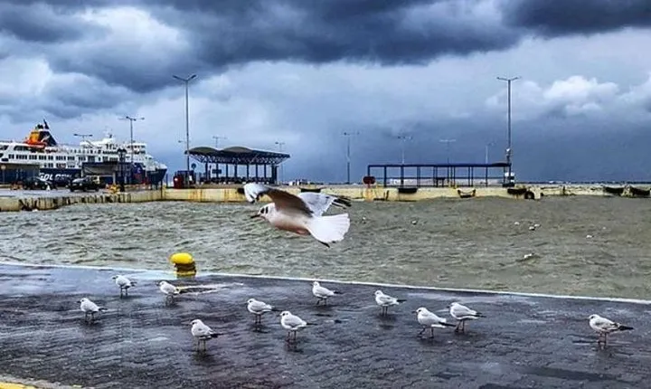 Athens Airport-Rafina Port (Rafina Port Athens Airport)