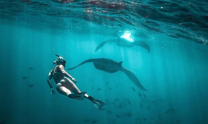 Best of Nusa Penida with Snorkeling Tour