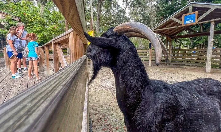 Central Florida Zoo and Botanical Gardens Admission Ticket