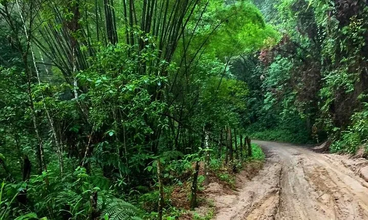 Minca - Coffee And Cocoa Tour 