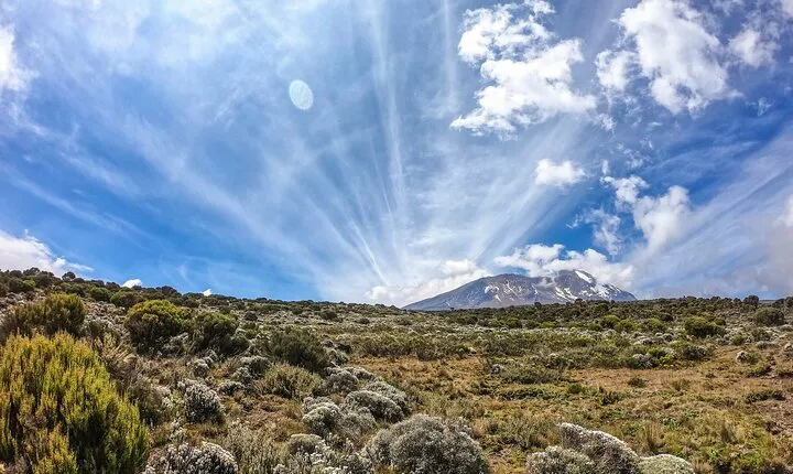 8-Day Hiking Tour Lemosho Route in Tanzania