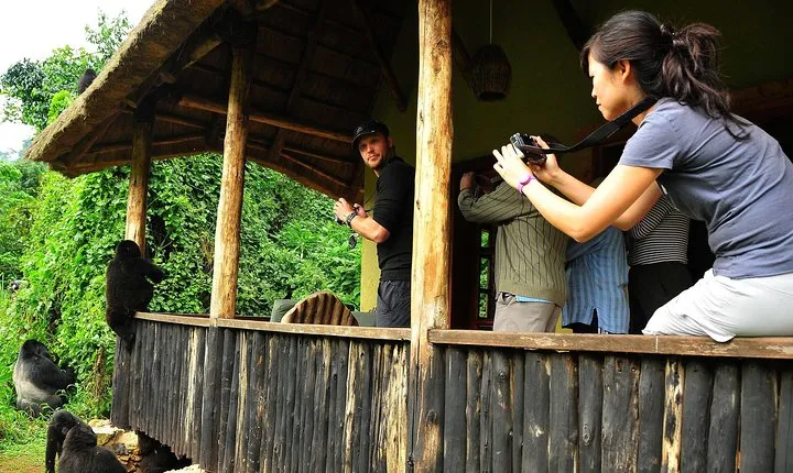 5 days Kigali, Kampala, Entebbe and Gorilla trekking Safari