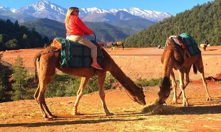 Marrakech: Atlas Mountains & Three valleys with Camel Ride