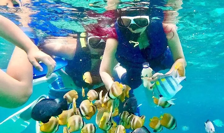 Blue lagoon and tanjung jepun snorkling all inclusive