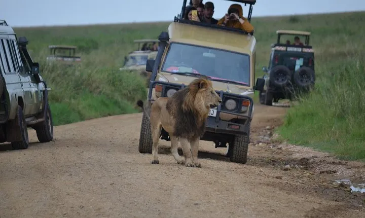 5 Day Private Lodge & Camping Tour of Tarangire, Serengeti & Ngorongoro Crater