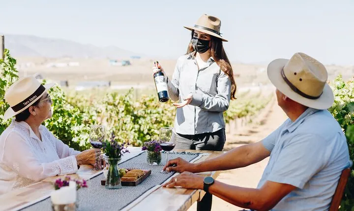 Tasting and tour through the vineyard