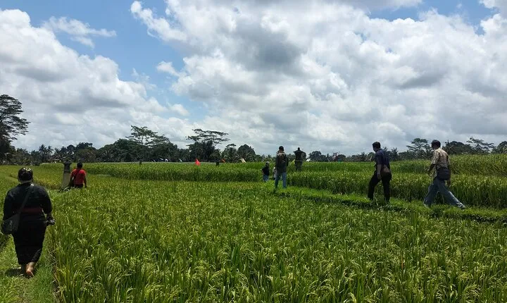 Keliki Village Tour And Rice Field Walk Including Lunch Or Dinner