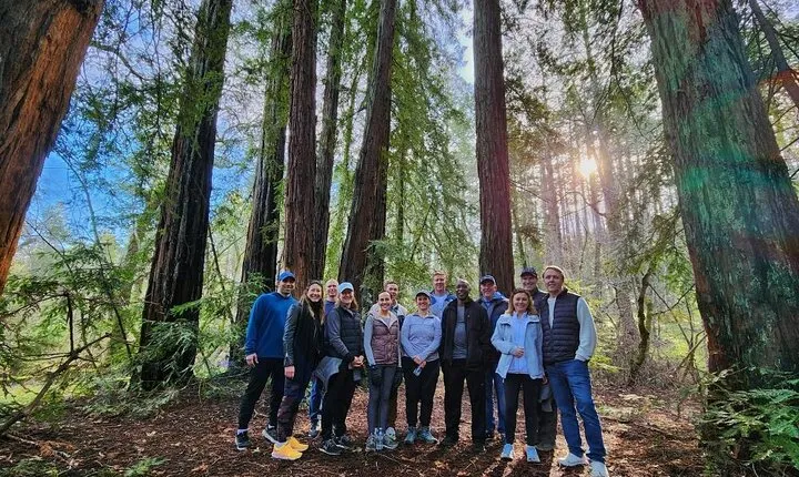 Napa Valley Redwood Hike