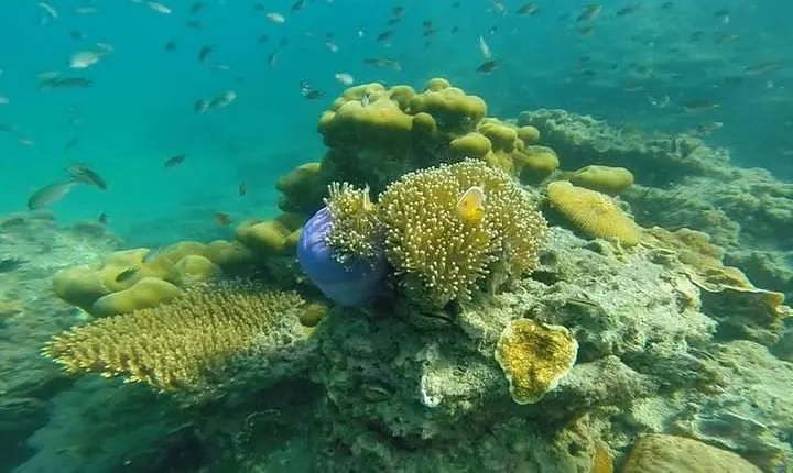 Oneday Tour 4 Islands and Emerald Cave By Tin Adventure Sea Tour from Koh Lanta