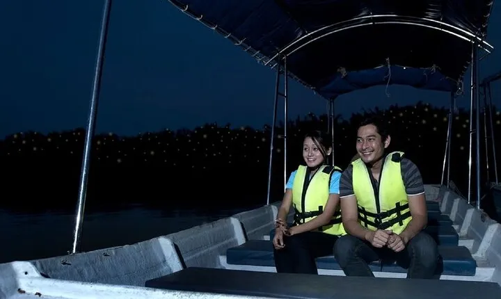 PrivateTour Kuala Selangor Firefly Blinkings & Silver Leaf Monkey