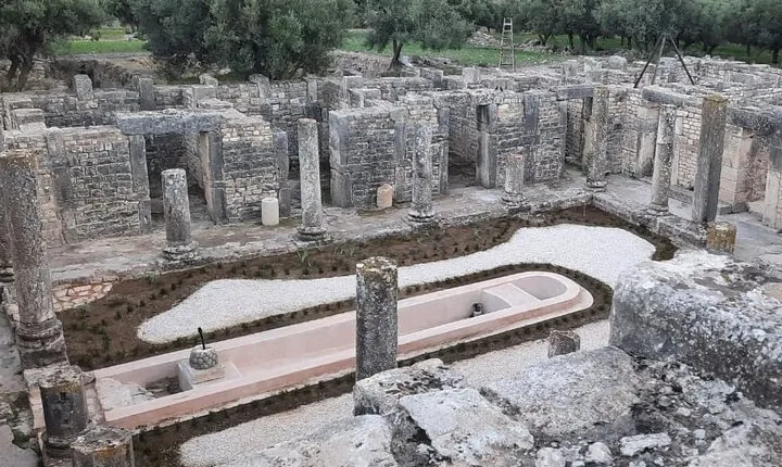 Captivating guided antiquity Bulla Regia & Dougga from Hammamet