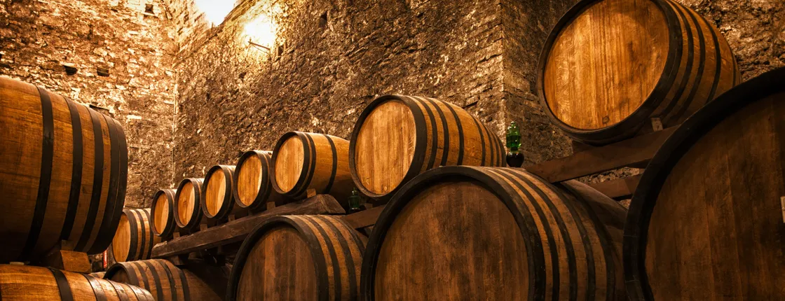 Porto wine walking tour with wine tasting