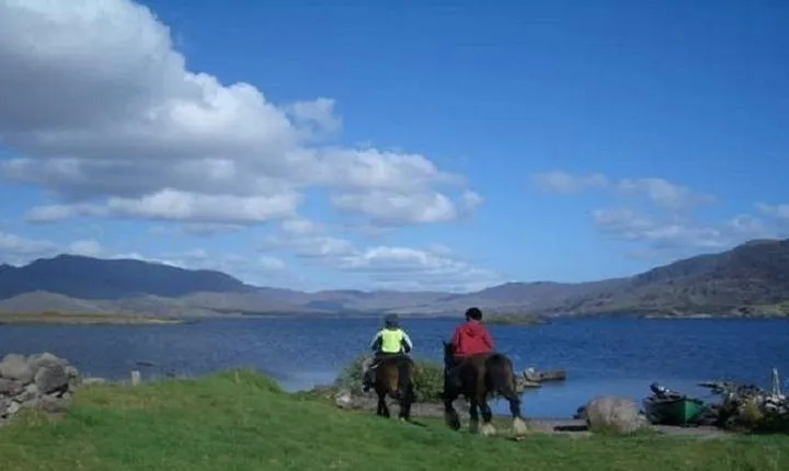 Killarney National Park Horseback Ride. Co Kerry. Guided. 2 hours.