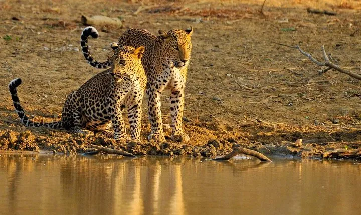 Nature & Wildlife - 10 Days Tour