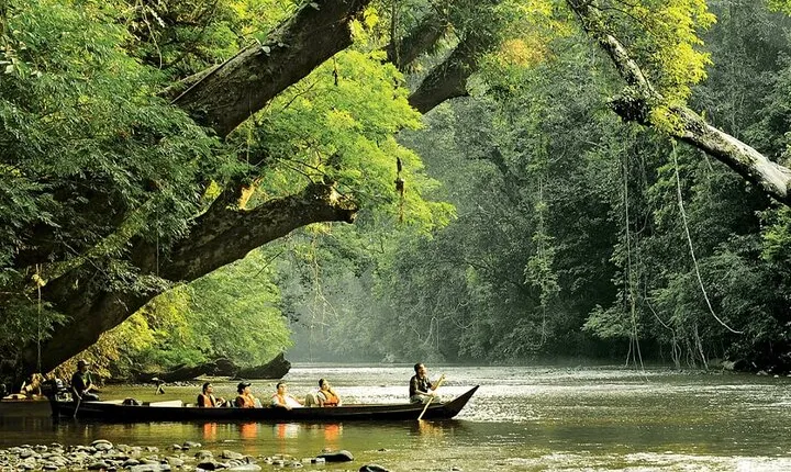 2D1N Taman Negara Rainforest Tour and Boat Ride