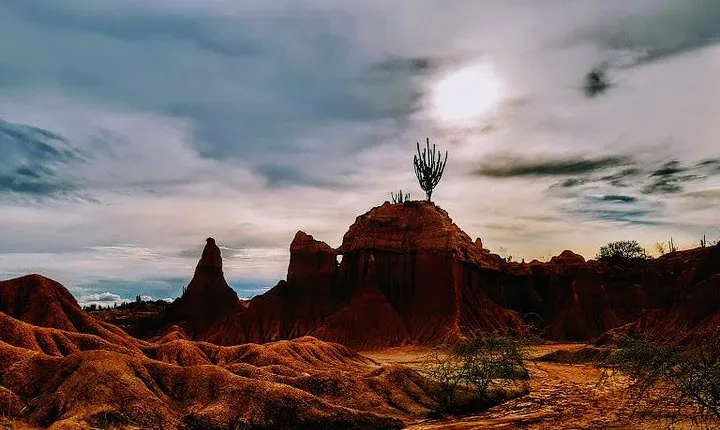 Tatacoa Desert Day Trip live, discover and connect