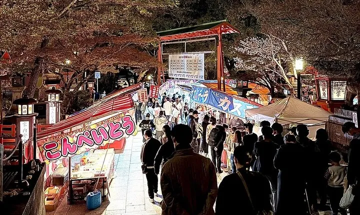 Gion Area Night Walking Tour 