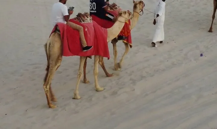 Private Doha Quad Bike, Horse Ride, Camel Ride All Inclusive Tour