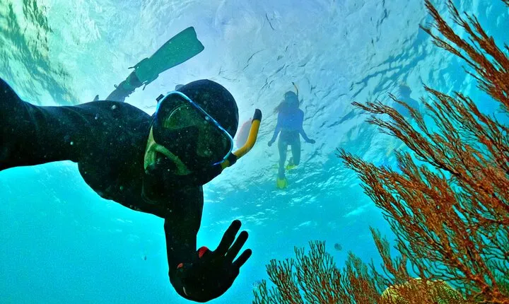 PRO-SNORKELING to Explore The Coral Jungle REEF (MAX 10 PAX)