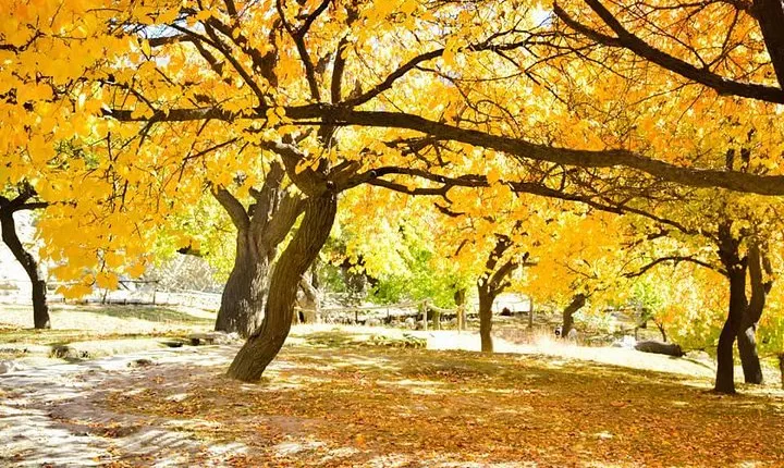 Autumn Trip to Hunza Valley & Skardu- Pakistan - (12D 11N)