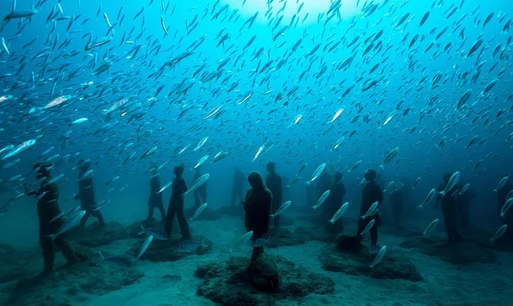 Museo Atlantico for non-certified divers