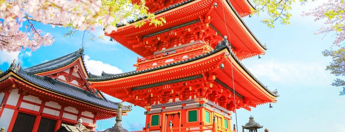 1-day tour to Kyoto and Nara Park from Osaka