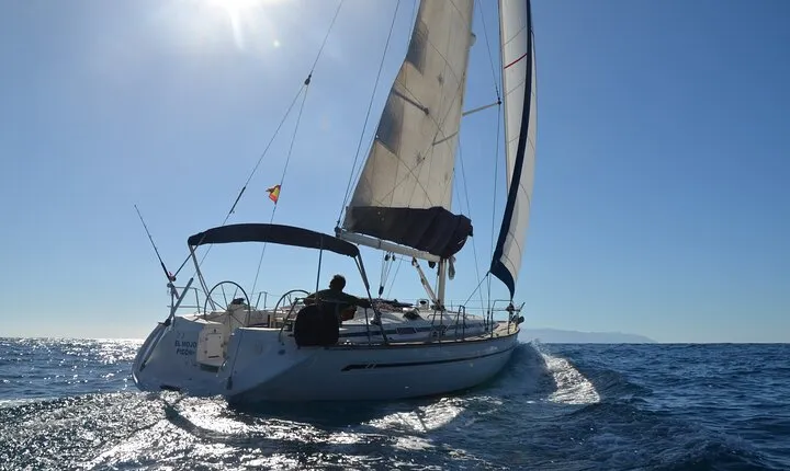 Small Group Excursion Whales and Dolphin Watching Los Gigantes