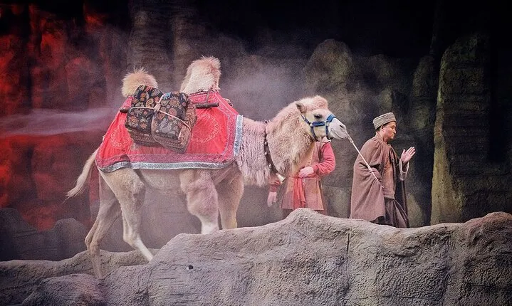 Silk Road Show:Legend of Camel Bell Includes Round-trip Transfers