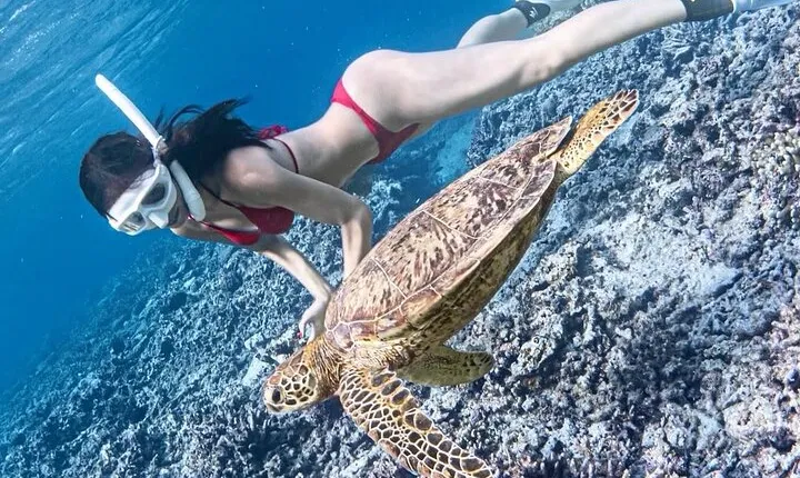 Bali Snorkeling at Blue Lagoon with Waterfall, Lunch & Transport