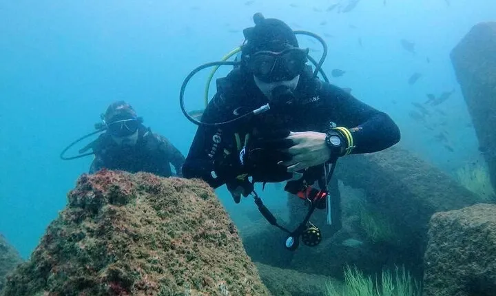 Pleasure Scuba Diving in Fujairah for Certified Diver