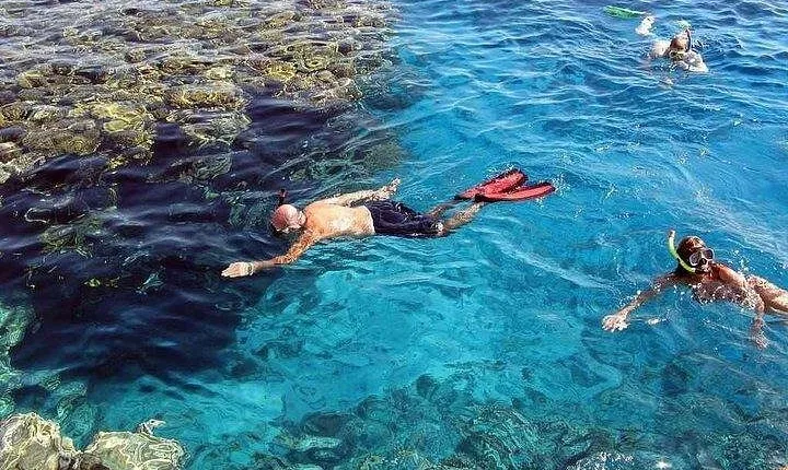 Snorkel at Marsa Mubarak from Marsa Alam with transfers lunch