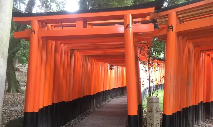 Half-Day Private Guided Tour to Fushimi Inari Taisha