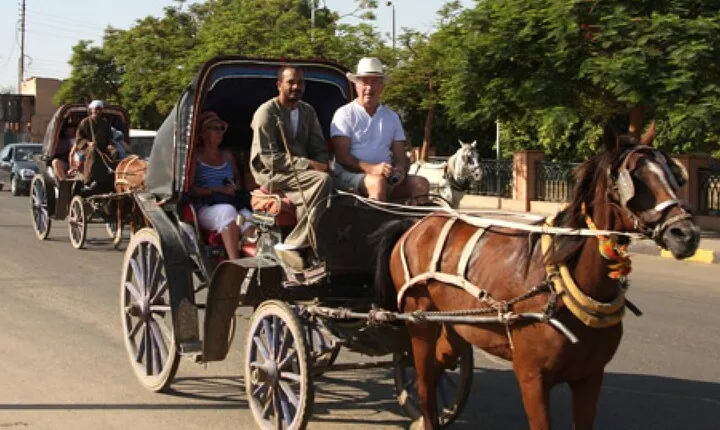 One Hour City Tour in Luxor By Horse Carriage - Luxor