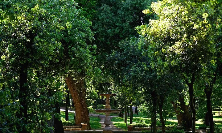 Villa Borghese and Posh Areas Unique Photo Tour and Workshop