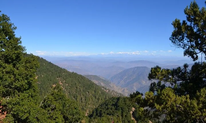Nainital Nature Trekking Experience (4 Hours guided experience)