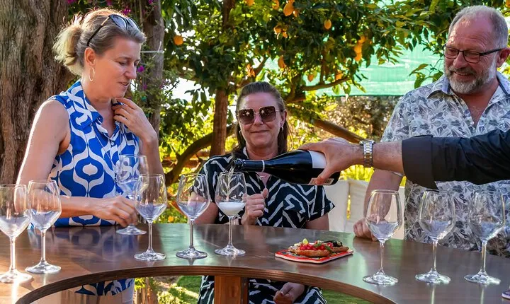 Wine Tasting Overlooking the Sea in a Lemon Grove at Sorrento