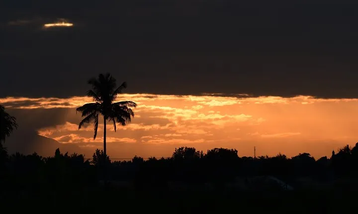 Tanzania Wildlife Cultural Safari from Arusha.