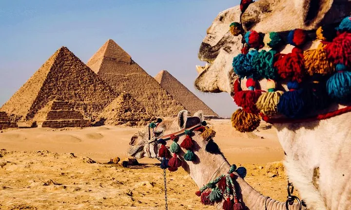 7-Days Tour Cairo,Aswan,luxor, and Nile Cruise Camel Ride, with Domestic Flights