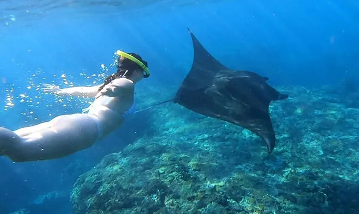 Nusa Penida Snorkeling with Manta Bay and Land Tour